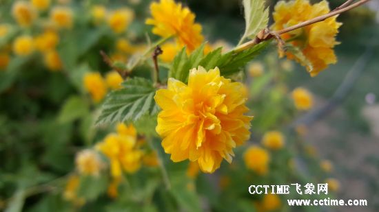 华为畅享30plus8+128怎么样,华为畅享8青春版测评