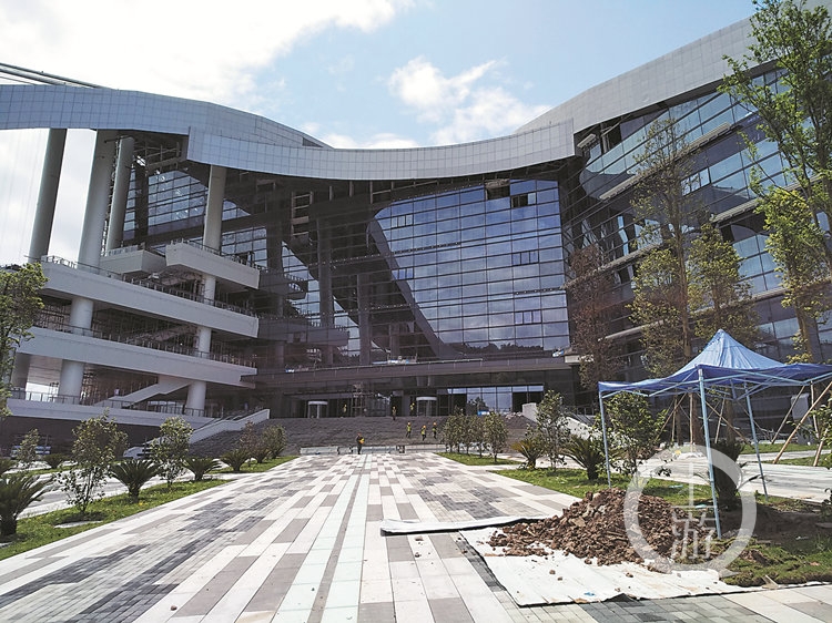 解码忠县“加速度”:橘子还没红电竞物流和创业先红透了