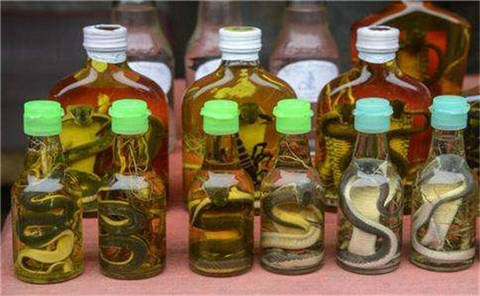 药酒属于小药么,你知道吗药酒和保健品的区别