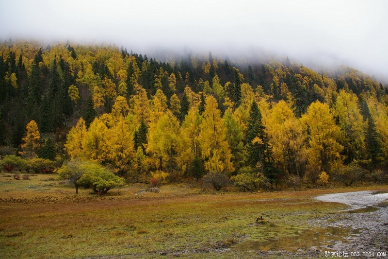 古道，细雨，暮雪-我的长坪沟半截秋色之旅