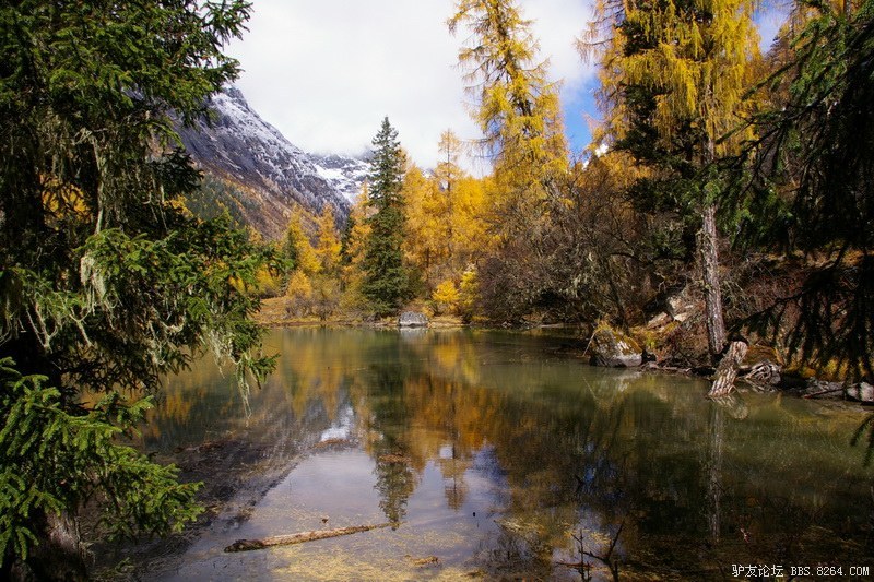 古道，细雨，暮雪-我的长坪沟半截秋色之旅