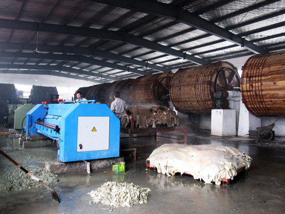 将国外医学奇迹带回国,他用共享养生让天下无医