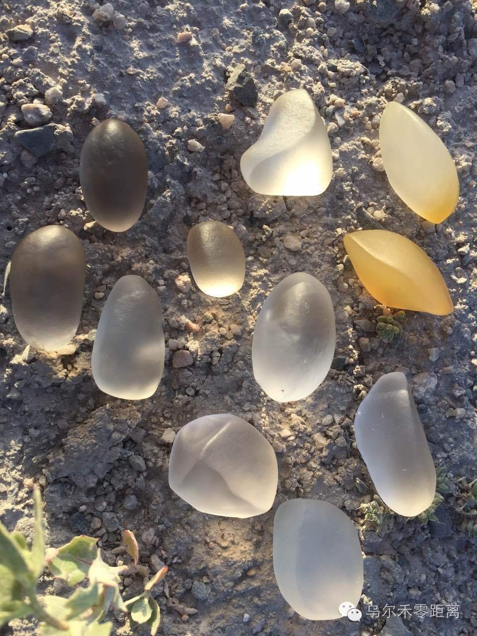 “宝石光”闪耀联合国总部！