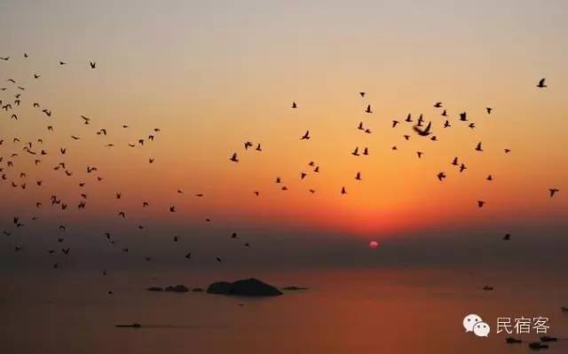 推开窗就能看到海，细数江浙沪那些无敌海景民宿