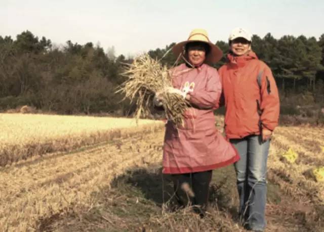 米课｜我打赌，你肯定不会吃米