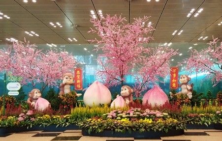 樟宜机场乘机详细流程,樟宜机场怎么休息