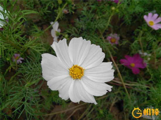 zukz2测评,小巧性能强悍的笔记本电脑