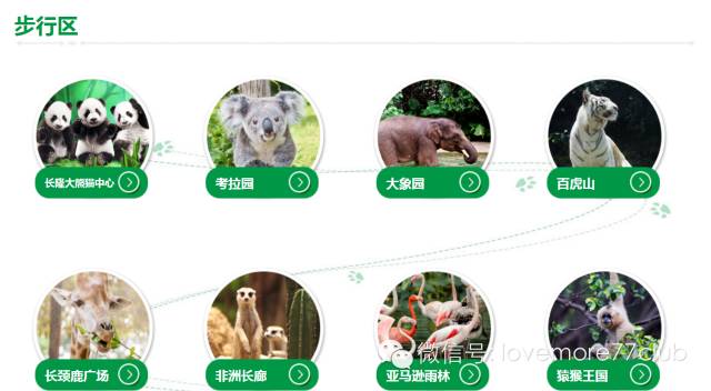 广州旅游攻略长隆野生动物园,广州长隆野生动物园自由行攻略