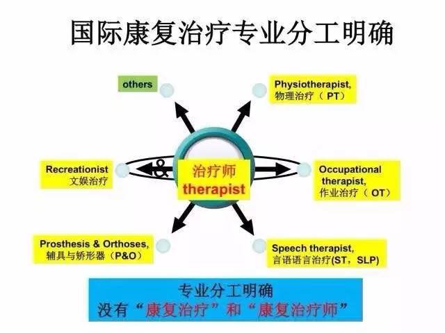 燕铁斌教授-物理治疗师规范化培训的思考