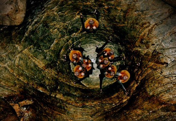 西安端午去哪里旅游最好,西安周边端午节一日游的绝佳去处