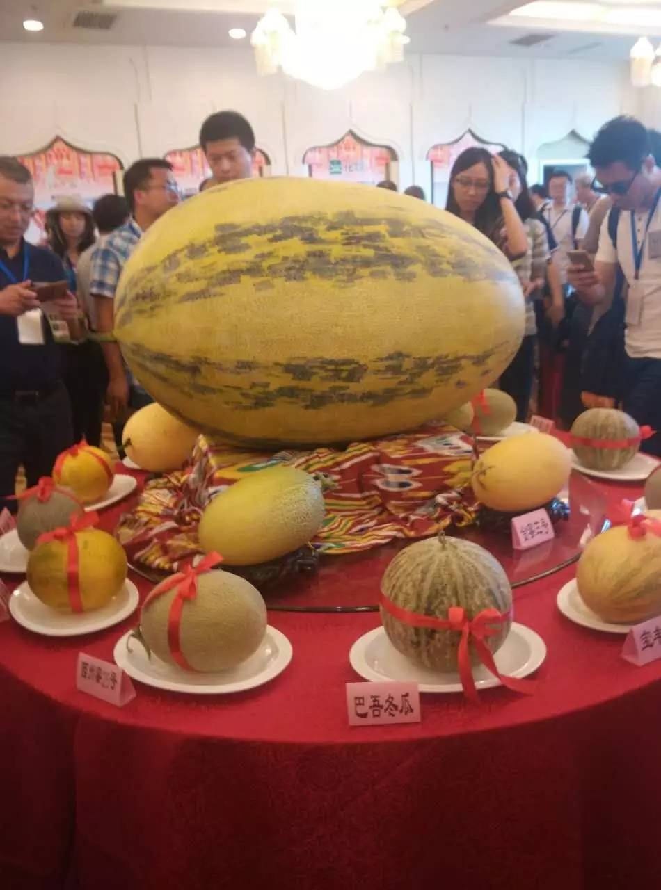 精益铸就品牌哈密