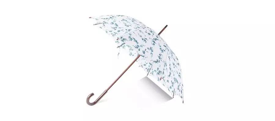 英国女王彩虹伞伊丽莎白二世,英国女王雨伞