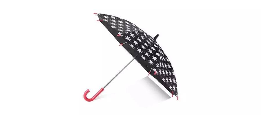 英国女王彩虹伞伊丽莎白二世,英国女王雨伞