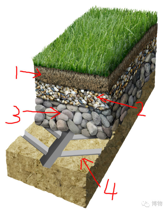 足球场的草坪类型,足球场的草坪为什么这么丝滑