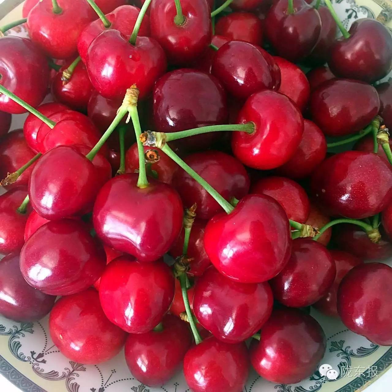 惊呆樱桃红了,美女盛情邀请,你是约呢,约呢,还是约呢!