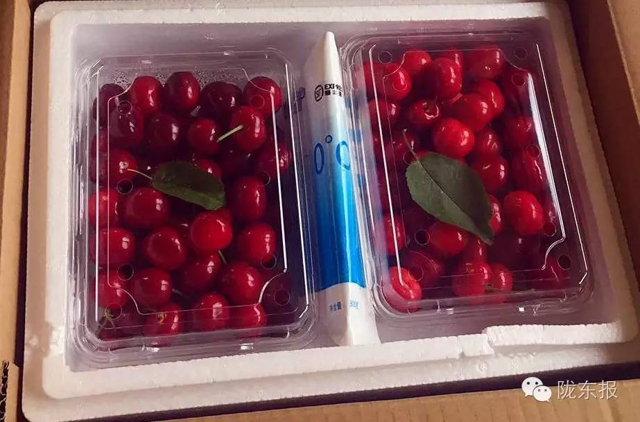 惊呆樱桃红了,美女盛情邀请,你是约呢,约呢,还是约呢!