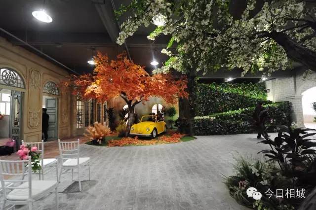 南京婚纱照攻略,苏州婚纱攻略