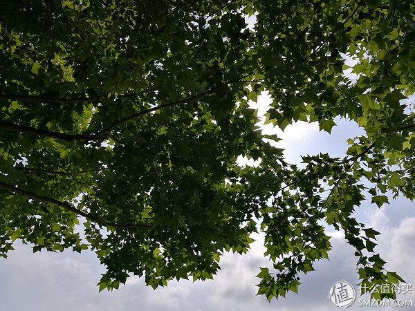 荣耀v8pro摄像头评测,感受v8