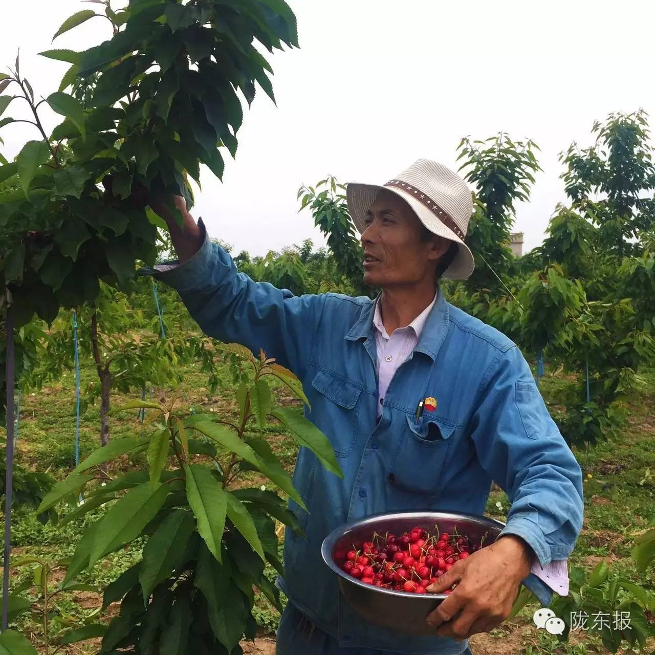 惊呆樱桃红了,美女盛情邀请,你是约呢,约呢,还是约呢!