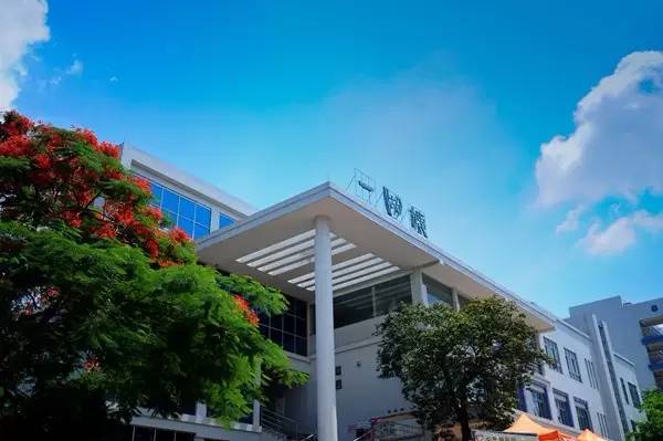 广东15所野鸡大学名单曝光,广东的野鸡大学有哪些