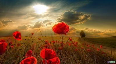 我的癌症自愈之路,我的康复之路图片