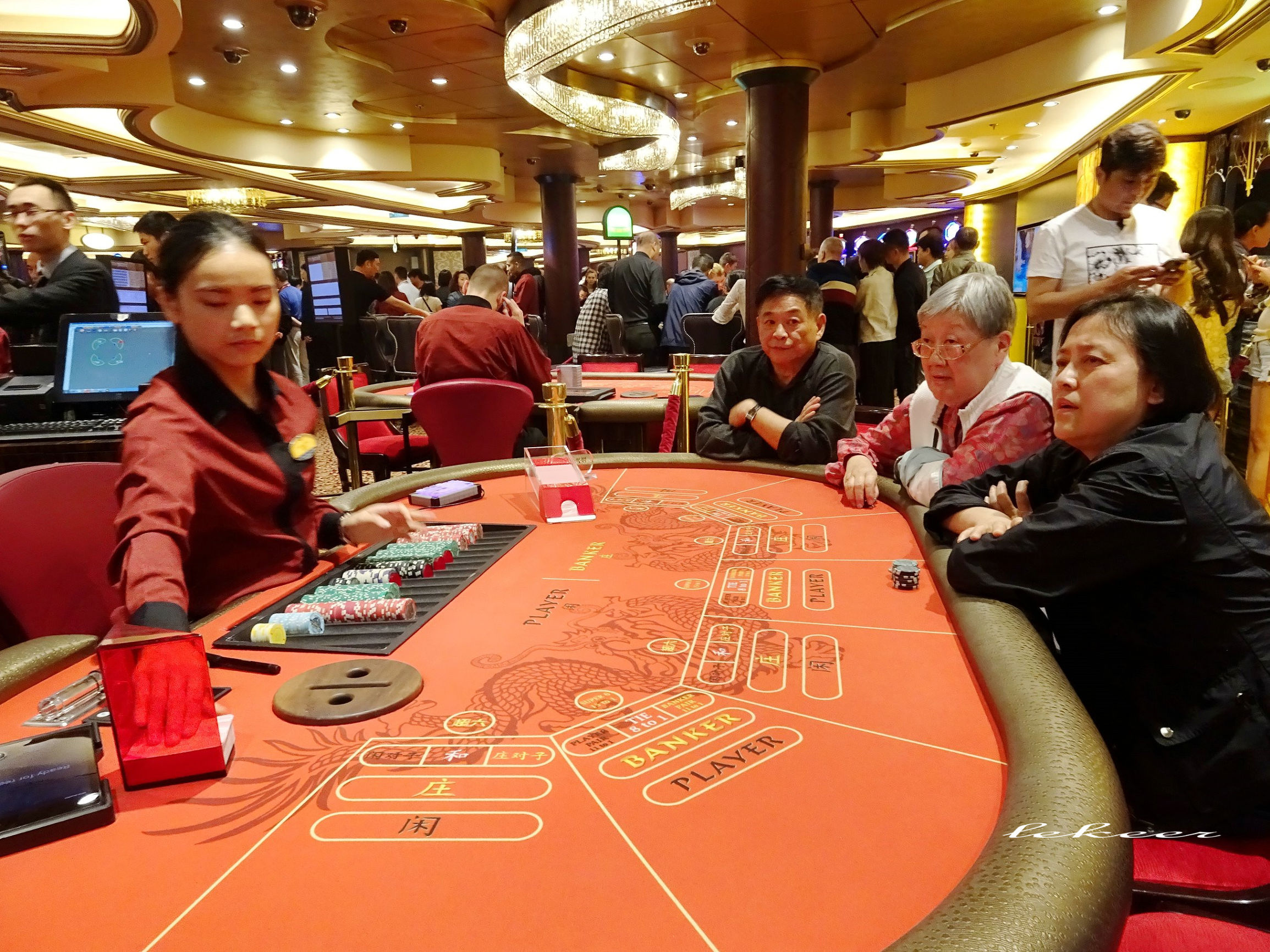 海洋量子号邮轮wifi攻略,海洋量子号游记