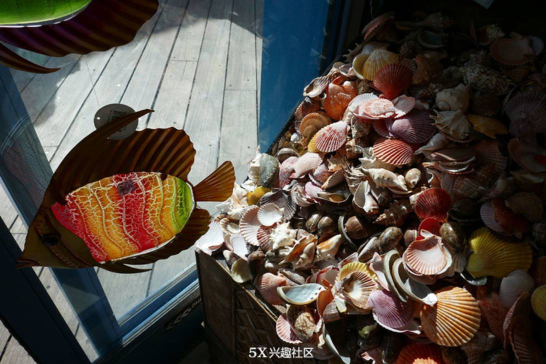 联想techworld2024,联想techworld深度解析