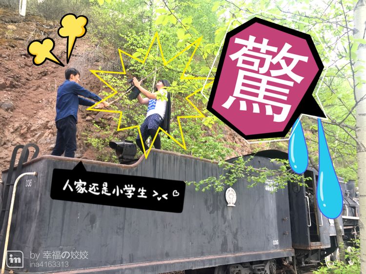 记忆深处的呼伦贝尔,记录呼伦贝尔美好时光