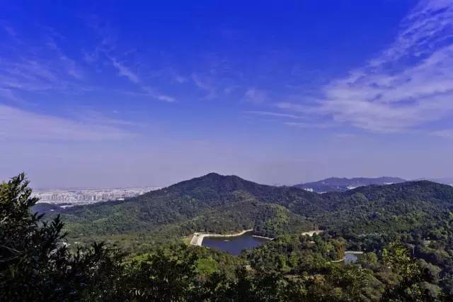 广东5a级景区免费开放,哪里的五a景区免门票