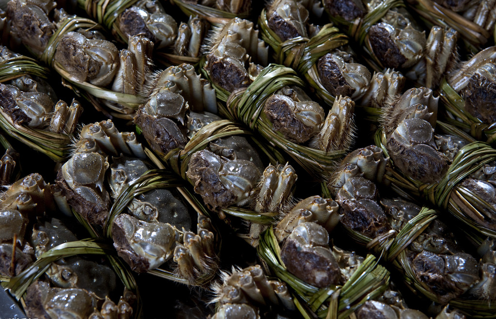 孕中篇|焦点关注——孕期禁忌食物黑名单