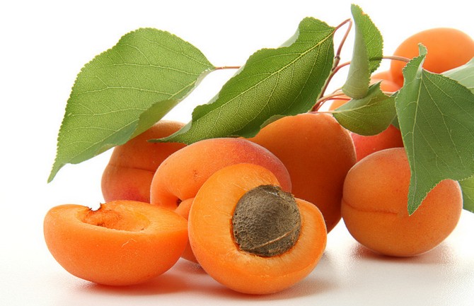 孕中篇|焦点关注——孕期禁忌食物黑名单