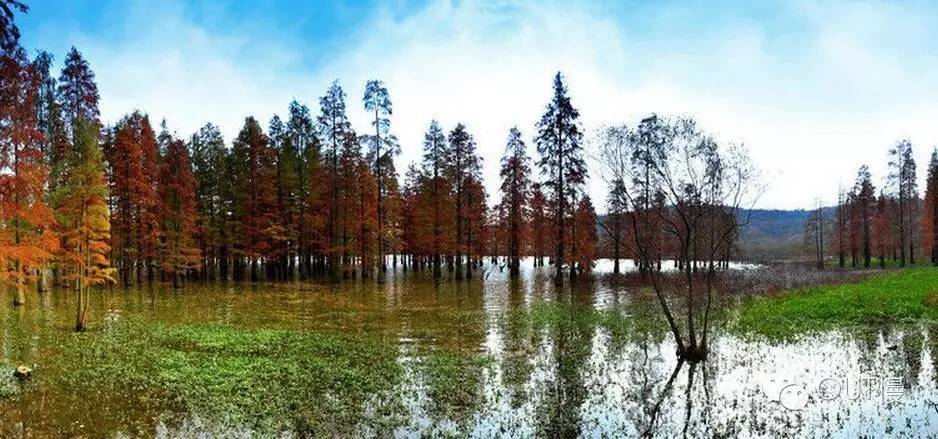 命苦！大南京最冤的一个区竟是它