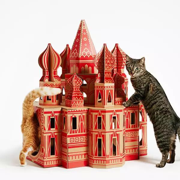 有一种快速让你的猫住进白宫的方法