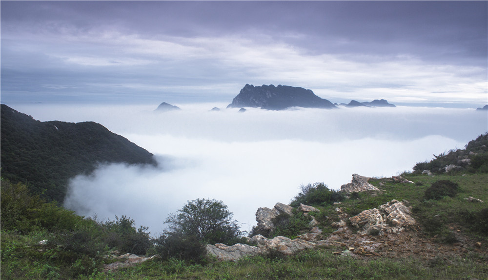 80后小伙隐居嵩山最高峰8年,怎么做到的?|豫记