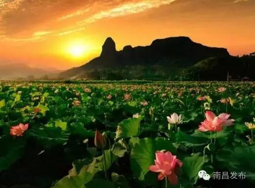 6月去江西旅游必去十大景点,八月江西旅游必去十大景点