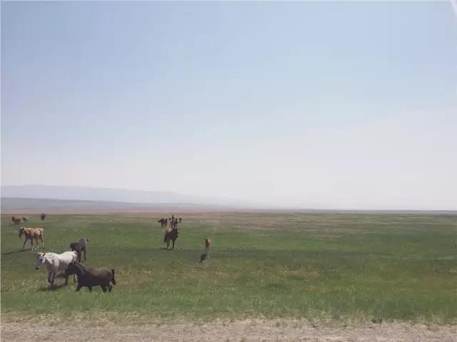 我在贝加尔湖旅行,贝加尔湖去玩