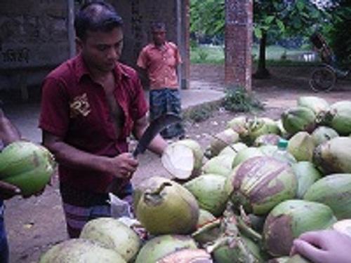 带你走进神秘中东,去孟加拉国旅游真实感受