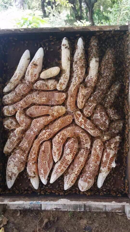 这年头哪里有什么真爱,现在哪里还有真爱