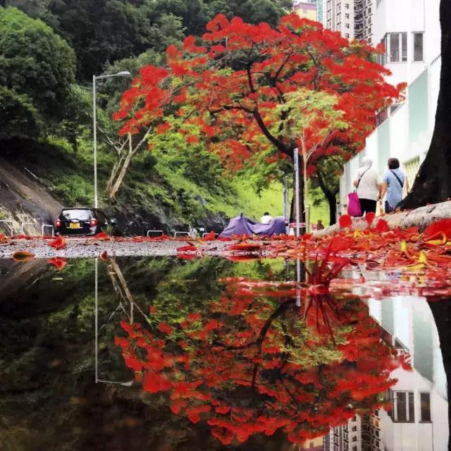 你拍出来的好照片:读者投稿选登(第五期)