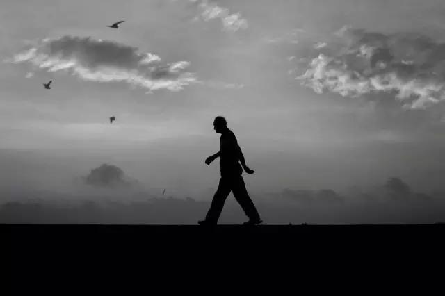 你拍出来的好照片:读者投稿选登(第五期)