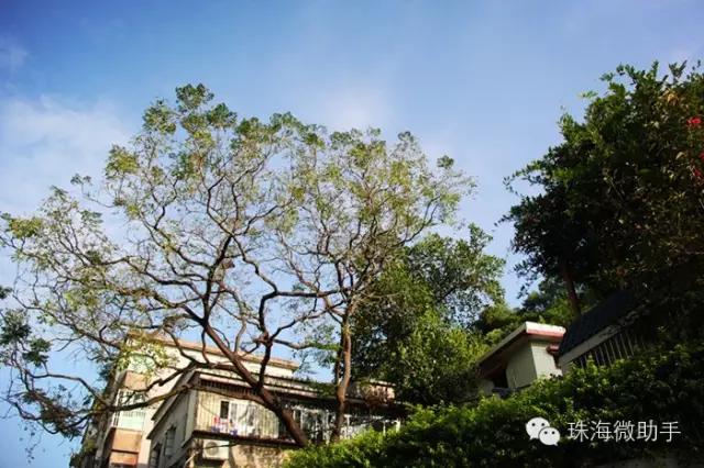 珠海最值得一去的特色街,我只去过5个,你呢?