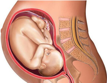 孕妇吸毒孩子有毒瘾吗,吸毒成瘾者怀孕对胎儿有什么影响