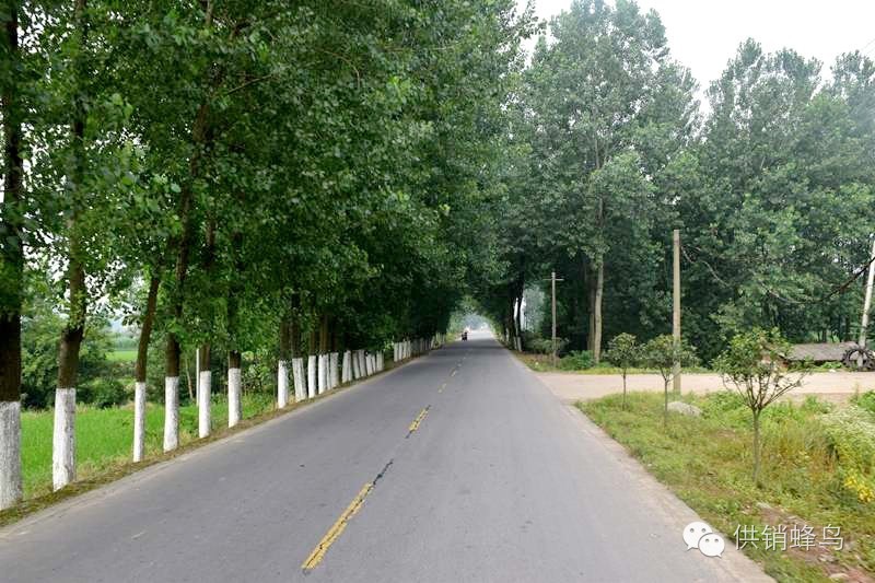 体验夏天农家生活,襄阳值得去的乡村