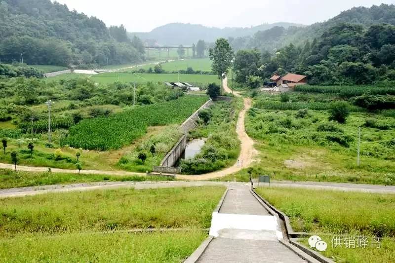 体验夏天农家生活,襄阳值得去的乡村