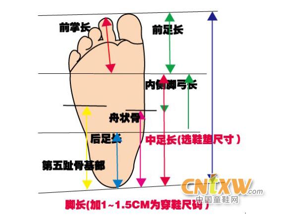 怎么给宝宝选合适脚码的鞋子,宝宝小脚丫适合穿什么鞋