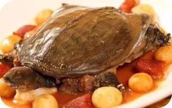 神宗富排三,甲鱼能治癌