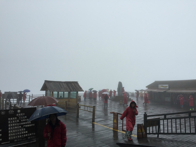 暑假云南旅游攻略8天,海南暑期云南旅游费用