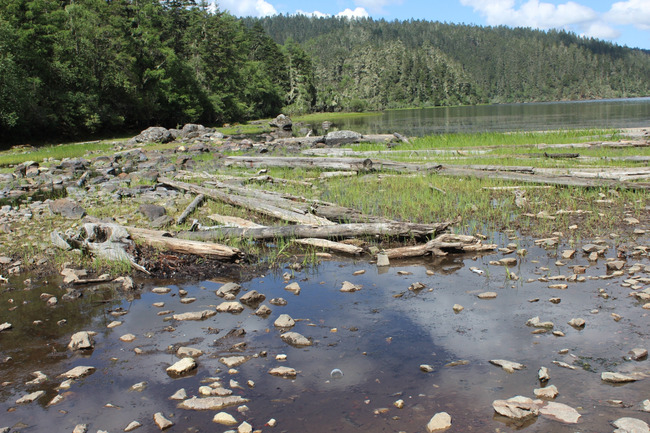 暑假云南旅游攻略8天,海南暑期云南旅游费用