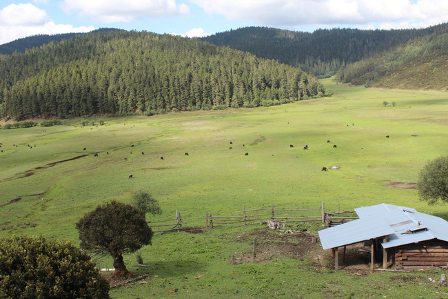 暑假云南旅游攻略8天,海南暑期云南旅游费用