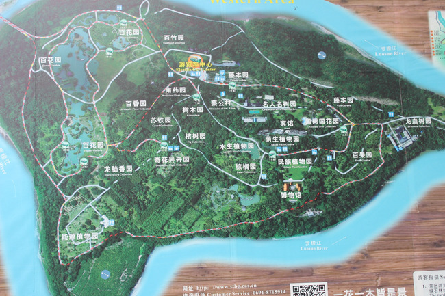 暑假云南旅游攻略8天,海南暑期云南旅游费用